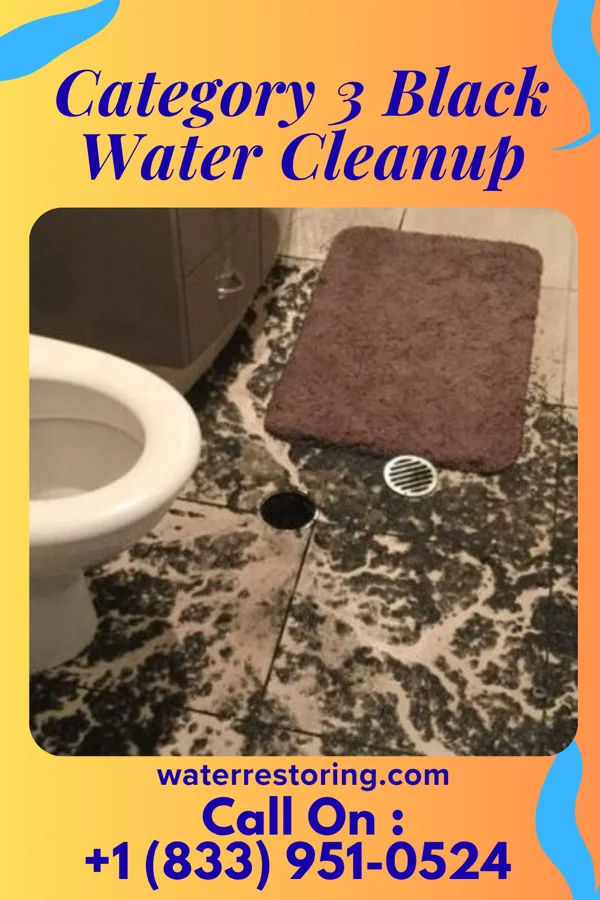 Category 3 Black Water Cleanup in Downing, MO