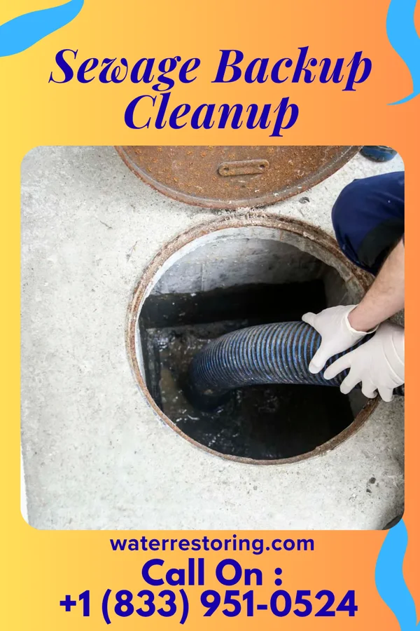 Sewage Backup Cleanup in Downing, MO