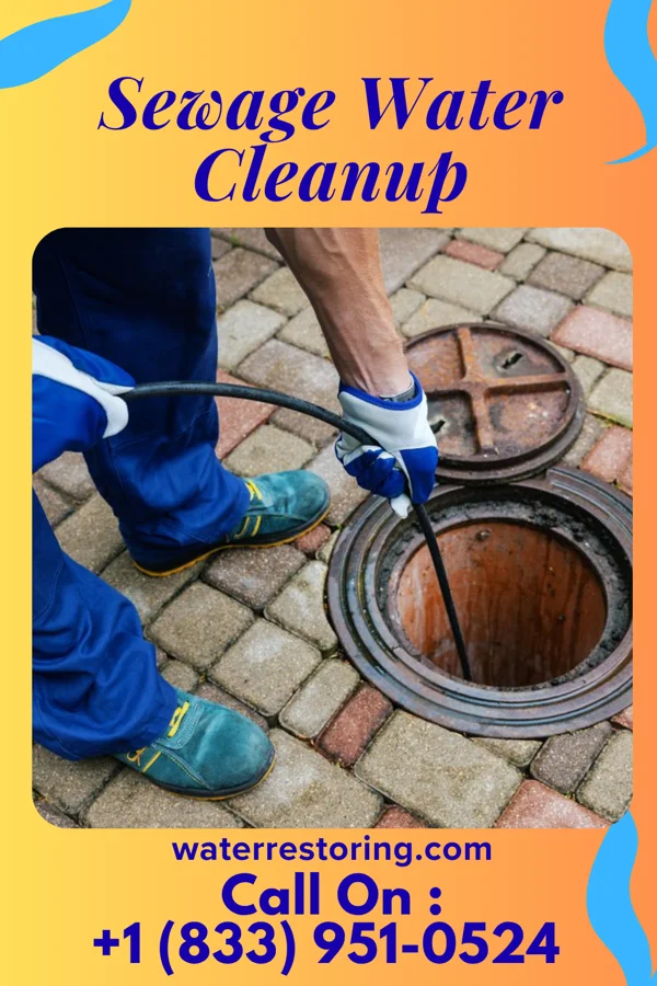 Sewage Water Cleanup in Downing, MO
